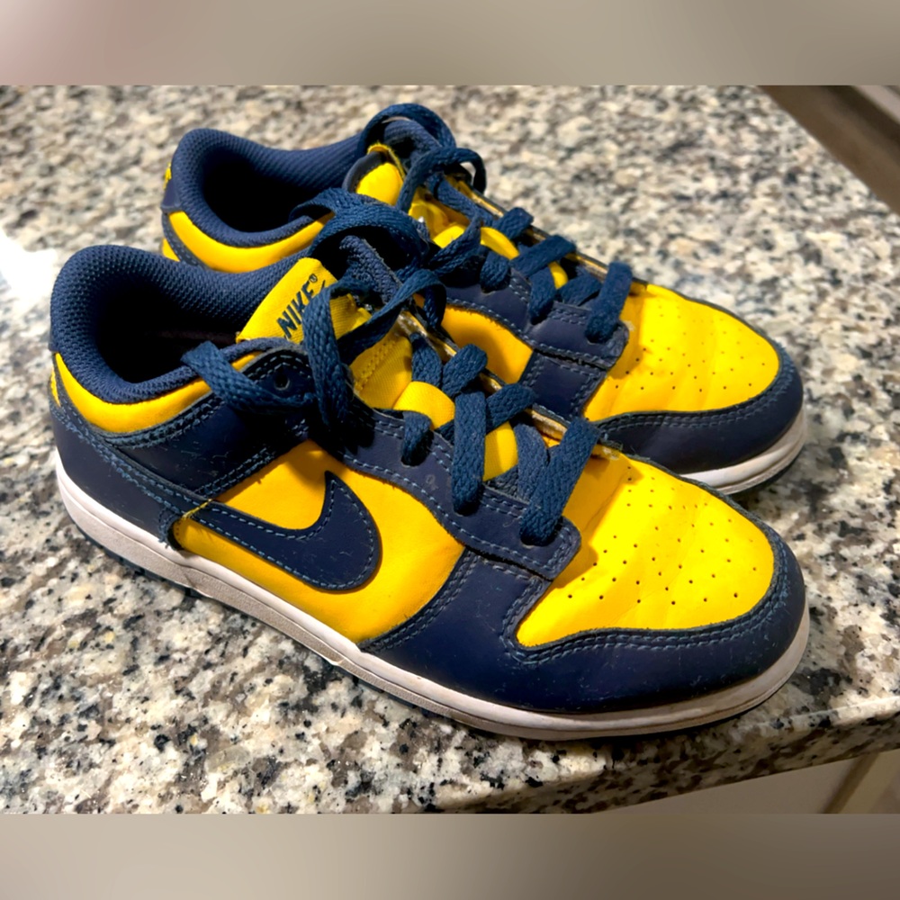 Nike Dunk Low Michigan